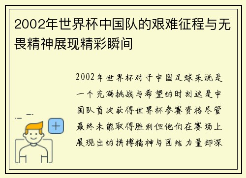 2002年世界杯中国队的艰难征程与无畏精神展现精彩瞬间